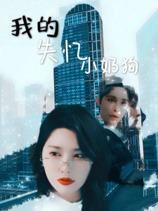 短剧我的失忆小奶狗海报