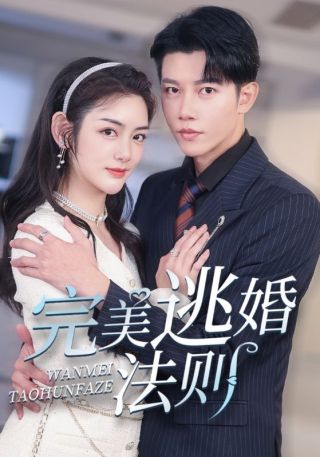 短剧完美逃婚法则海报