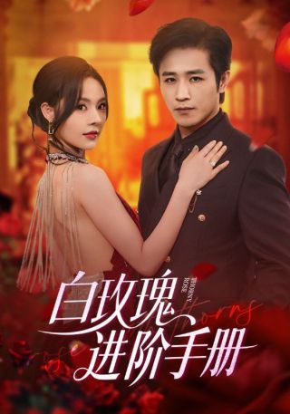 短剧白玫瑰进阶手册海报