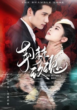 短剧荆棘玫瑰海报