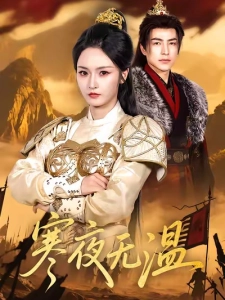 短剧寒夜无温海报