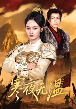 短剧寒夜无温海报