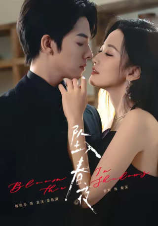 短剧坠入春夜海报