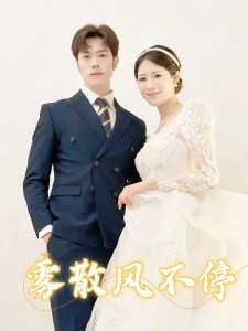 短剧雾散风不停海报