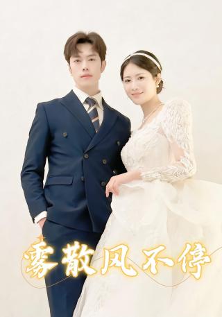 短剧雾散风不停海报