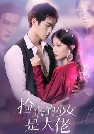 短剧捡来的少女是大佬海报