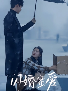 短剧闪婚蜜爱海报