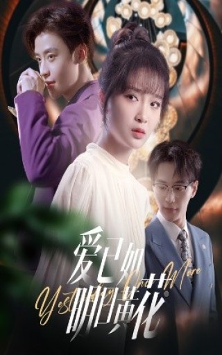 短剧爱已如明日黄花海报