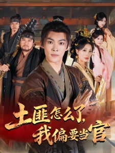 短剧土匪怎么了，我偏要当官海报