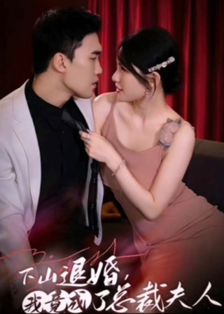 短剧下山退婚，我竟成了总裁夫人海报