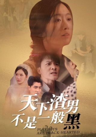 短剧天下渣男不是一般黑海报