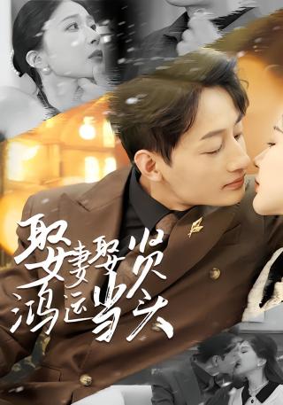 短剧娶妻娶贤鸿运当头海报