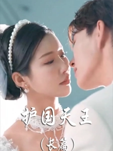 短剧护国天王海报