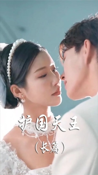 短剧护国天王海报