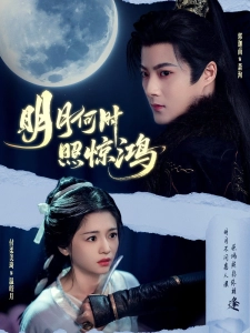 短剧明月何时照惊鸿海报