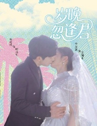 短剧岁晚忽逢君海报