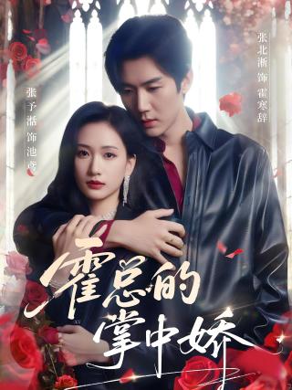 短剧霍总的掌中娇海报