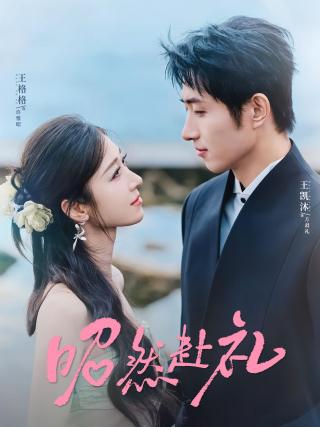 短剧昭然赴礼海报