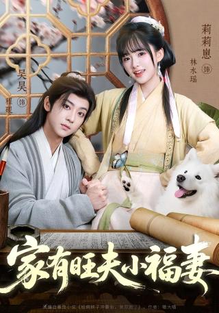 短剧家有旺夫小福妻海报