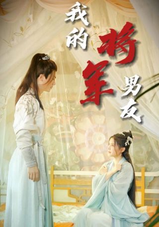 短剧我的将军男友海报