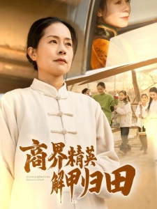 短剧商界精英解甲归田海报