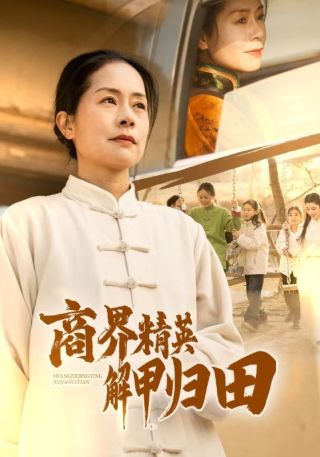 短剧商界精英解甲归田海报