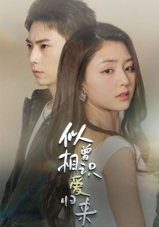 短剧似曾相识爱归来海报