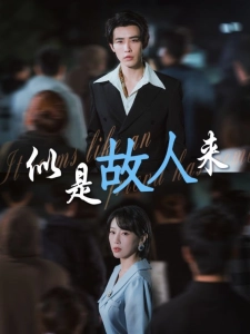 短剧似是故人来海报