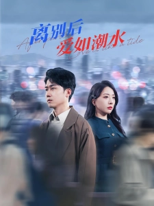 短剧离别后爱如潮水海报