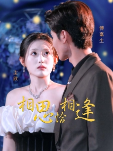 短剧相思恰相逢海报
