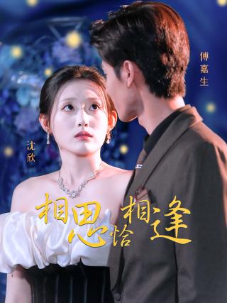 短剧相思恰相逢海报
