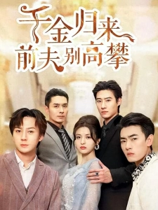 短剧千金归来前夫别高攀海报
