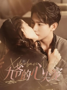 短剧九爷的心尖宠海报