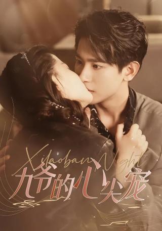 短剧九爷的心尖宠海报