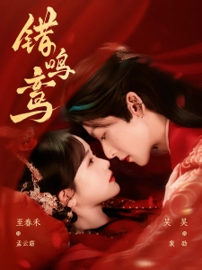 短剧错鸣鸾海报