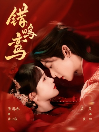 短剧错鸣鸾海报