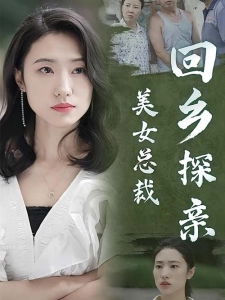 短剧美女总裁的租赁男友海报