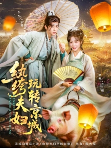 短剧纨绔夫妇玩转京城海报