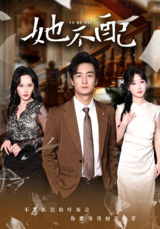 短剧她不配海报