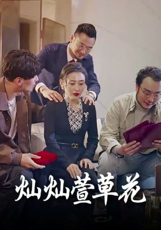 短剧灿灿萱草花海报