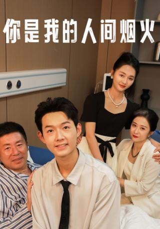 短剧你是我的人间烟火海报