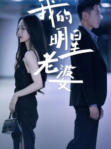 短剧我的明星老婆海报