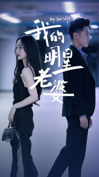 短剧我的明星老婆海报
