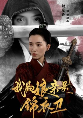 短剧我的娘亲是锦衣卫海报
