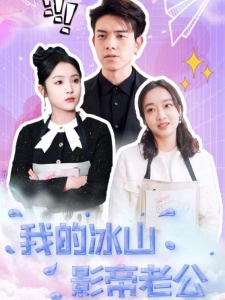 短剧我的冰山影帝老公海报