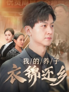 短剧我的养子衣锦还乡海报