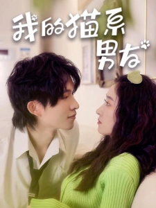 短剧我的猫系男友海报