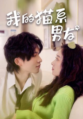 短剧我的猫系男友海报