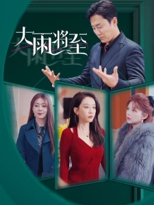 短剧大雨将至海报