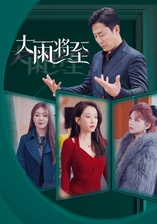 短剧大雨将至海报